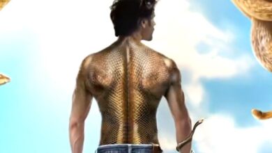 SCOOP: Kartik Aaryan’s Naagzilla expected to be pushed ahead; might not meet the Independence Day deadline : Bollywood News