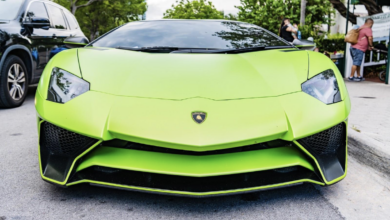 The Hidden Side of Luxury Ownership – Hollywood Life