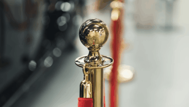 Inside the  Million Paydays – Hollywood Life