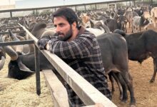 Sonu Sood donates Rs 22 lakhs to cow shelter in Gujarat : Bollywood News