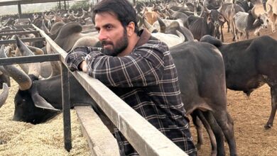 Sonu Sood donates Rs 22 lakhs to cow shelter in Gujarat : Bollywood News