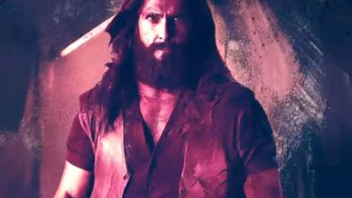 BREAKING: Mumbai Police files FIR against Dhurandhar The Revenge location manager for flying drone in high security Fort area of South Mumbai without permission : Bollywood News