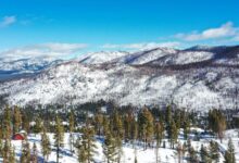 Updates on Missing Blackbird Mountain Skiers – Hollywood Life