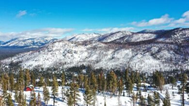 Updates on Missing Blackbird Mountain Skiers – Hollywood Life