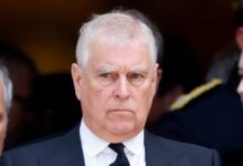 Why Was Prince Andrew Arrested? Everything We Know So Far – Hollywood Life