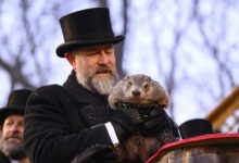 Did Punxsutawney Phil See His Shadow for 2026? Winter Update – Hollywood Life