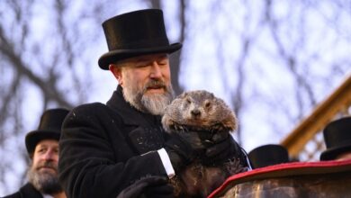 How Old Is Punxsutawney Phil Now? The Groundhog’s Age Today – Hollywood Life