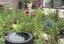 How Mo Helmi Builds Urban Environments That Thrive – Hollywood Life