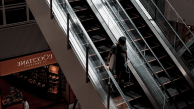 Westfield Century City Mall Is a Premier Luxury Shopping Destination – Hollywood Life