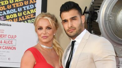 Why Did Britney Spears and Sam Asghari Split? Inside Divorce – Hollywood Life