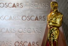 What Channel Are the Academy Awards On? – Hollywood Life