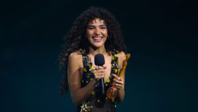 See Who Won Album of the Year & More – Hollywood Life