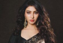 McDonald’s India–North & East Names Sara Arjun as brand ambassador; recreates iconic ad, watch : Bollywood News